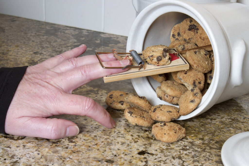 Mousetrap in Cookie Jar