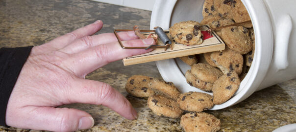 Mousetrap in Cookie Jar